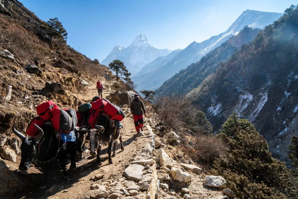 Everest Base Camp trek